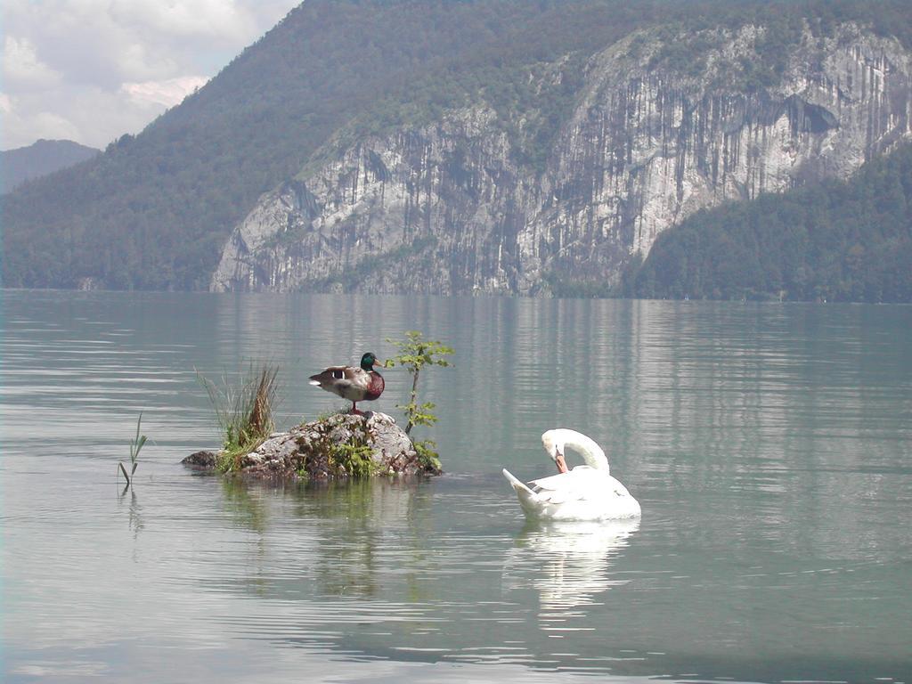 Landhaus Leitner Am Wolfgangsee Sankt Gilgen Exterior photo